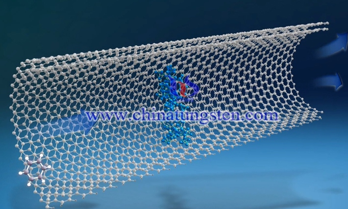 tungsten disulfide nanotube picture