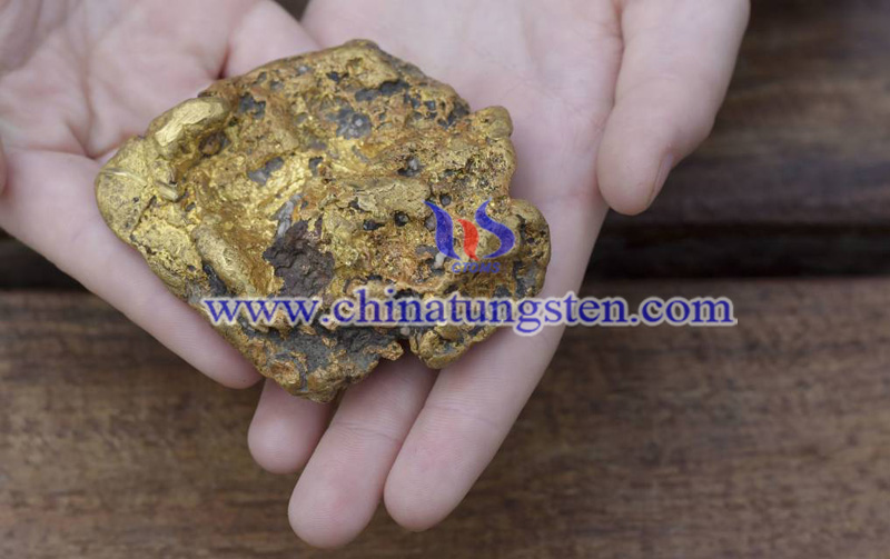a Bendigo resident found a gold nugget in Victoria image