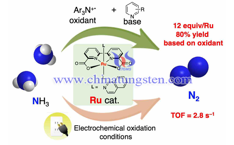 ruthenium-catalysed oxidative conversion of ammonia into dinitrogen image