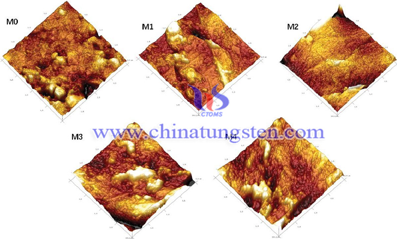 AFM images of the outer surfaces of pristine membrane image