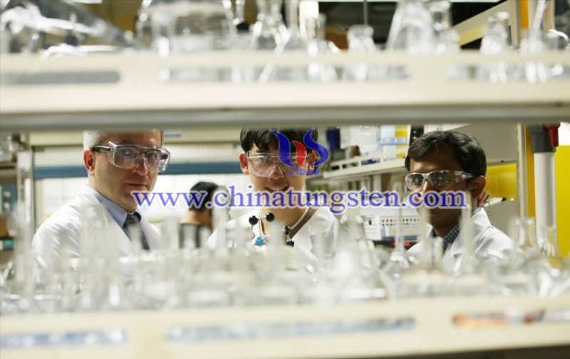 the KAIST research group image