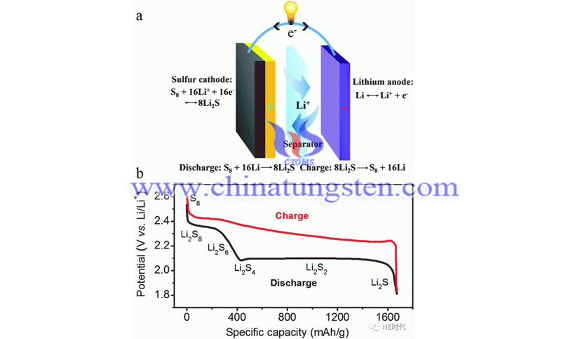 schematic diagram of Li-S cell image