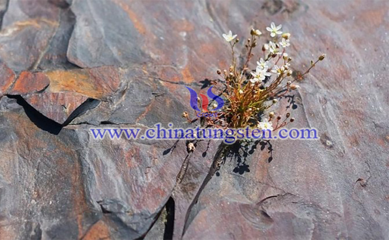 the oxidation theory image the oxidation theory image
