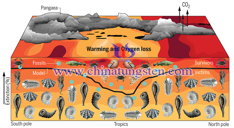 warming and oxygen loss image