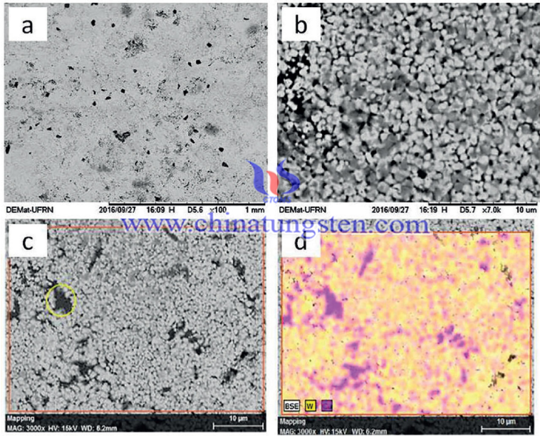  SEM micrograph of W-30 wt%