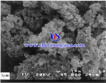 SEM image of W-Cu Composite Powder