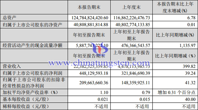 洛钼2020年一季度主要财务数据