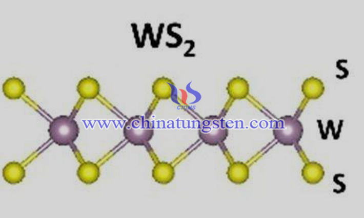 二硫化钨纳米片图片
