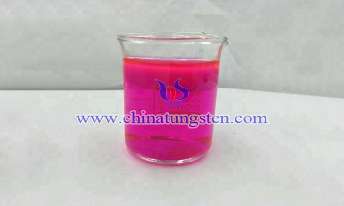 Rhodamine B solution picture