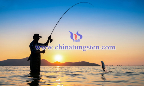 鎢合金漁墜圖片