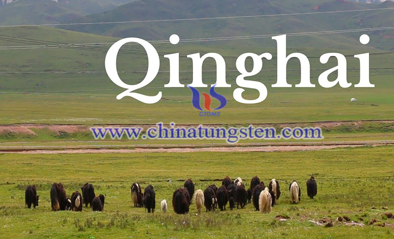 a view of Qinghai image