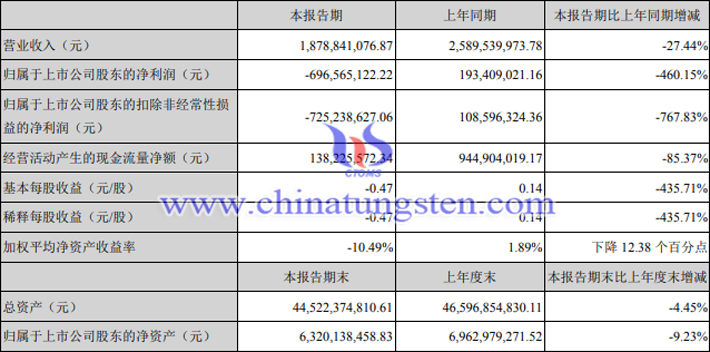 天齐锂业2020年半年报图片