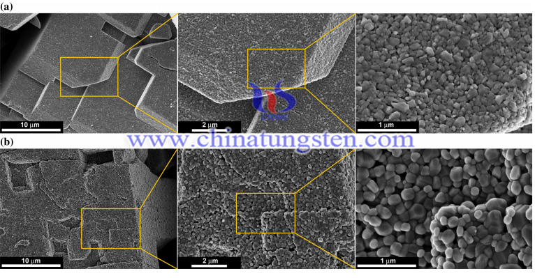 SEM Image of Tungsten Trioxide