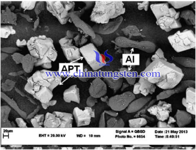 SEM image of tungsten-Aluminium composite
