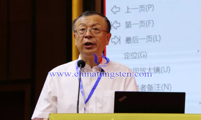 中国有色金属工业协会副会长兼中国钨业协会会长丁学全致辞