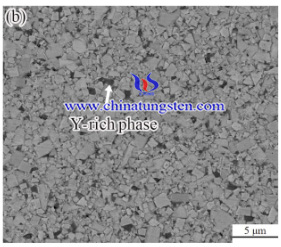 SEM image of 1%Y-doped tungsten cemente carbide