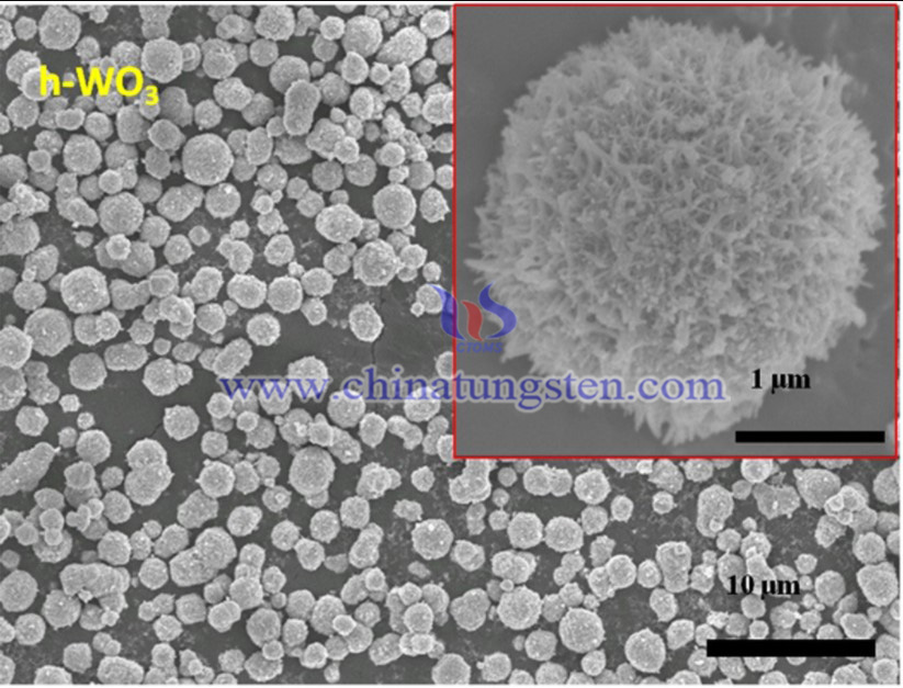 SEM image of hexagonal WO3 microspheres