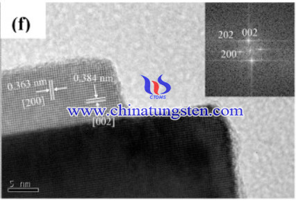 SEM image of the WO3 nanoplates