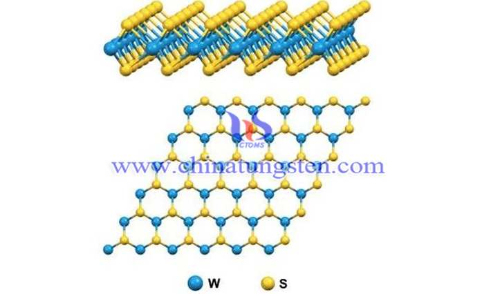 家用电器锂电池负极用二硫化钨纳米片图片