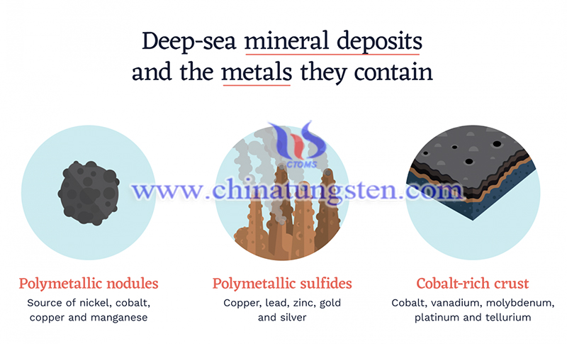 The future of deep seabed mining image