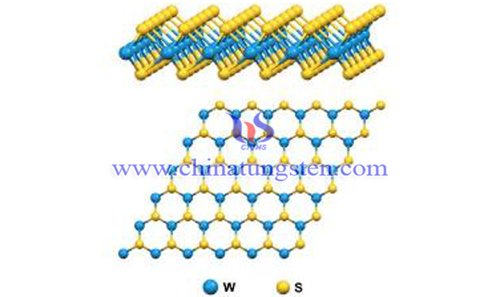 WS2结构图