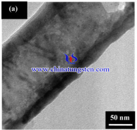 SEM image of TiO2-WO3 photoelectrodes