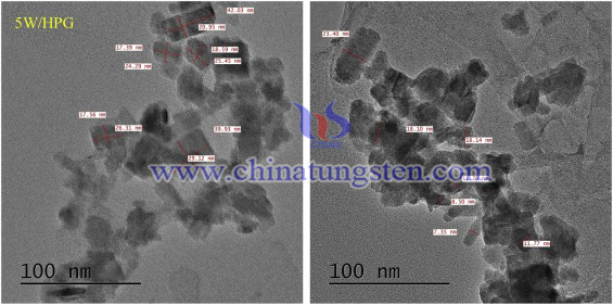 TEM image of 5W-HPG