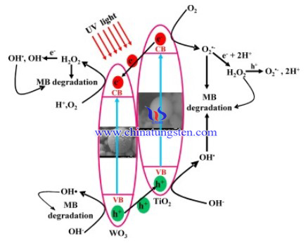 Image of proposed mechanism 