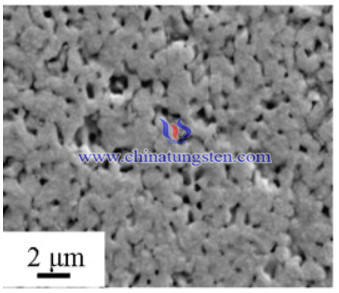 SEM micrograph of nanosized tungsten