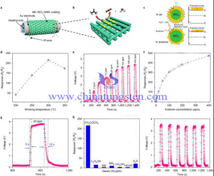 復旦大學研究WO3納米線在氣敏材料中的應用圖片