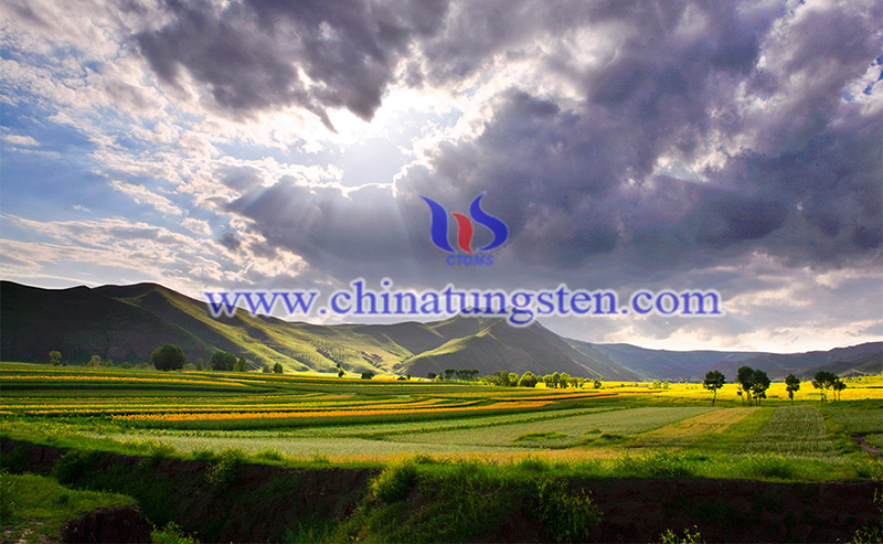 Inner Mongolia holds vast minerals image