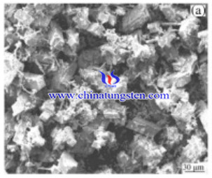 Microstructure of the Cr-doped APT powder