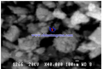 SEM image of Cobalt Doped Ammonium Paratungstate