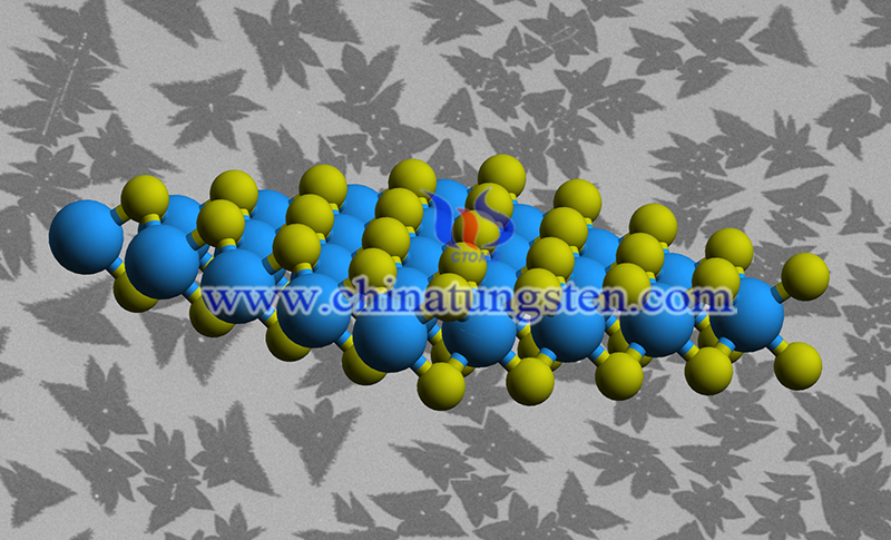 tungsten disulfide atomic structure image