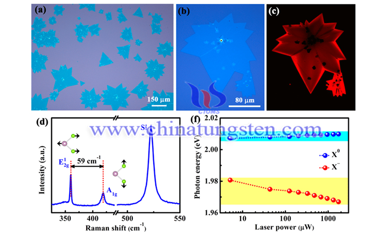 tungsten disulfide flakes image