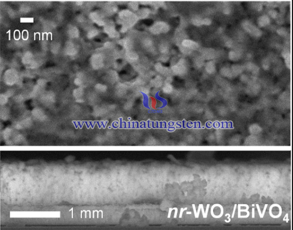 SEM image of  WO3-BiVO4 nanorod