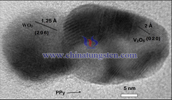 HR-TEM image of PPy-V2O5-WO3 vnanocomposite.