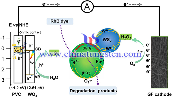 Schematic of tungsten sulfide co-catalytic radical chain-reaction