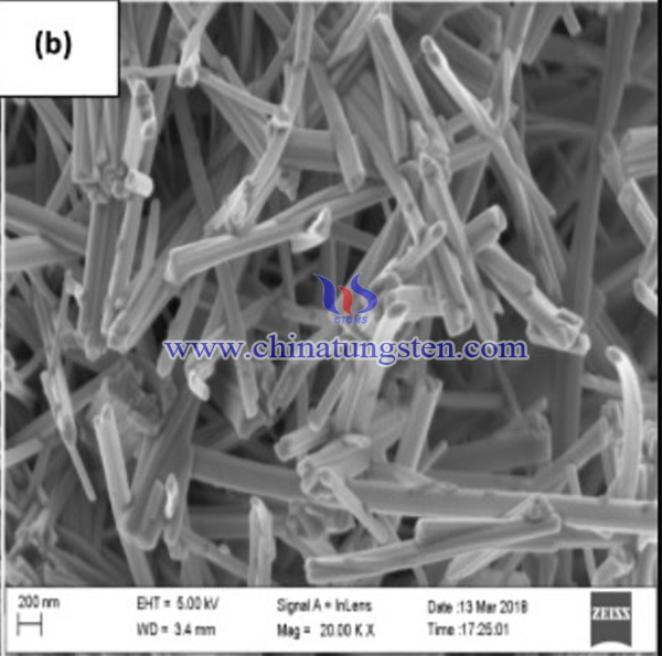 HRESM images for Iodine-Phosphorus Co-Doped Tungsten Trioxide