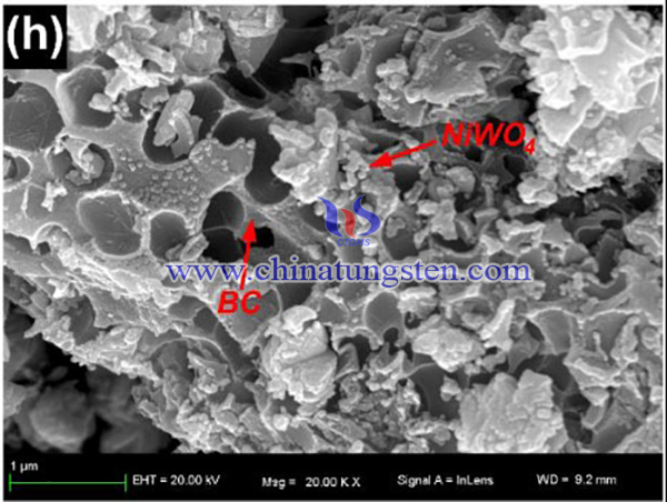 FESEM images of Tungsten-Based Bimetal Oxides