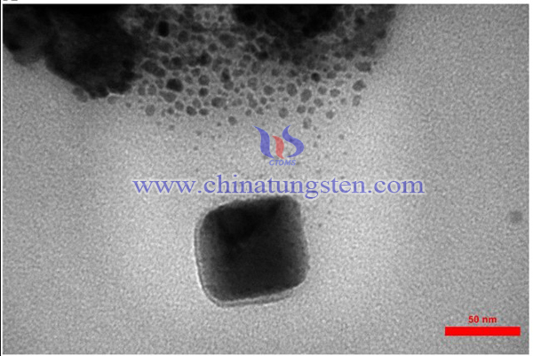 TEM images of Cu2O-BiVO4-WO3 nano-composite