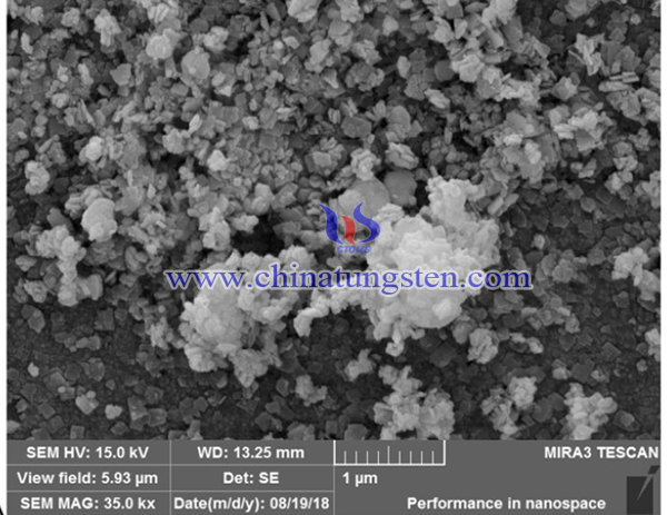 FESEM images of Cu2O-BiVO4-WO3 nano-composite`