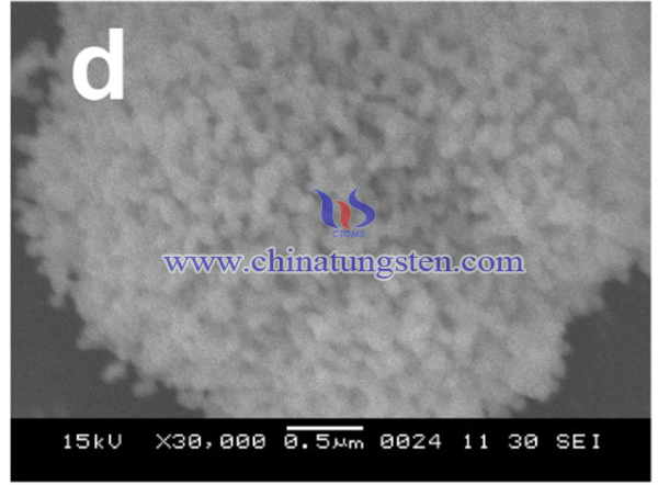 SEM micrographs of WO3 nanoparticles