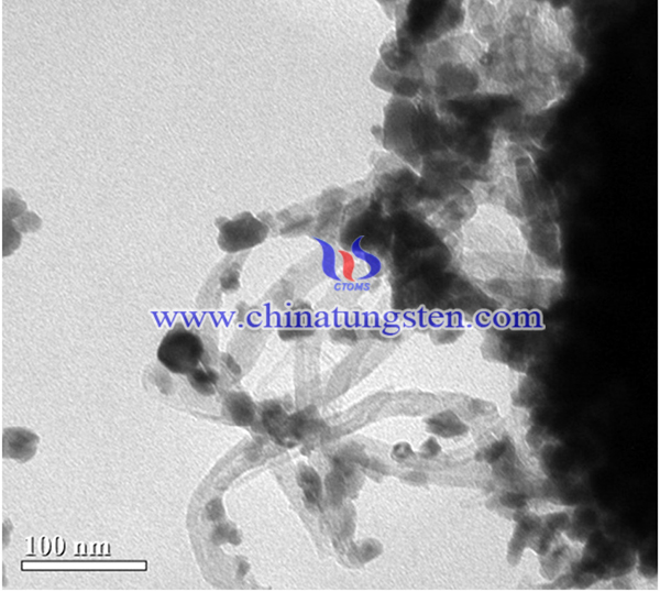 TEM image of WO3-MWCNT hybrid material