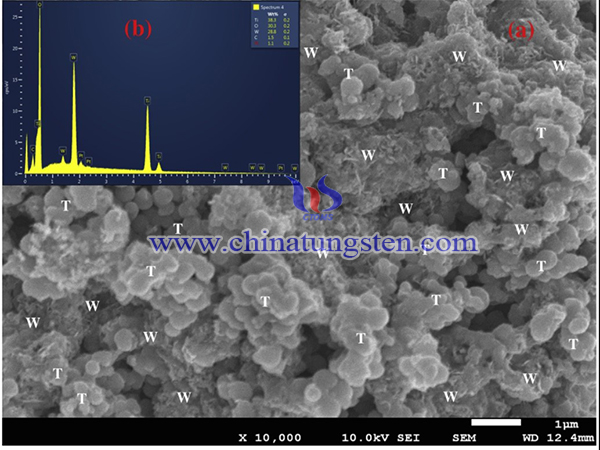 SEM image of Pt-TiO2-WO3 material