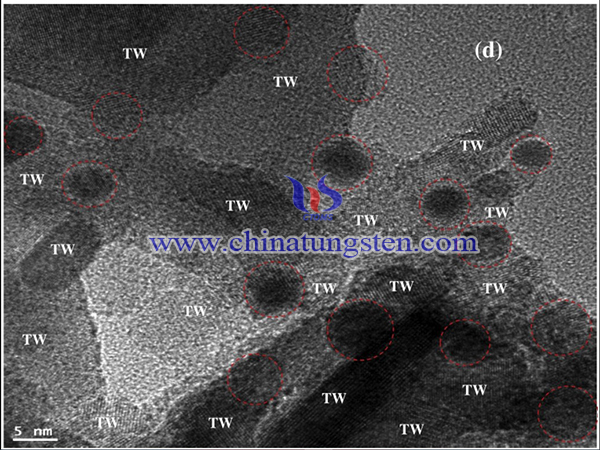 TEM image of Pt-TiO2-WO3 material