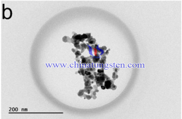 SEM image of W-Y2O3 particles