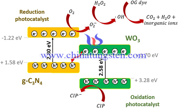 Schematic diagram of  the WO3-g-C3N4 system