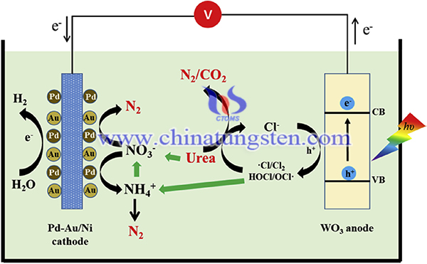 Image of the urine photoelectric removal system