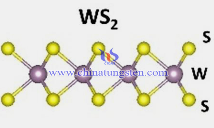 烧结法制备N掺杂WS2纳米片图片